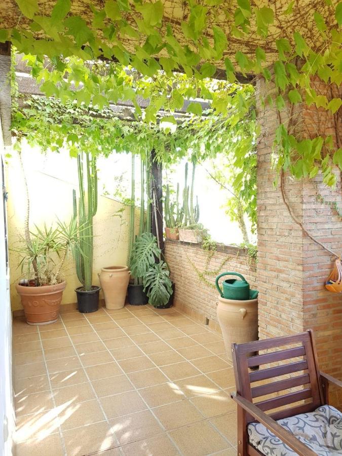 Apartament Piso En El Albaicin Alto, Junto Al Mirador De San Miguel Alto. Granada. Zewnętrze zdjęcie